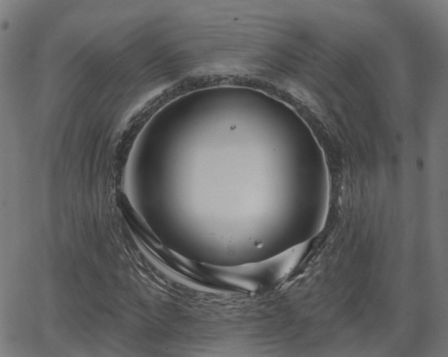 X0000062910872200601181217