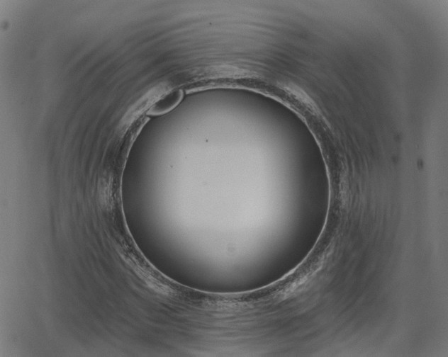 X0000062910873200601181217