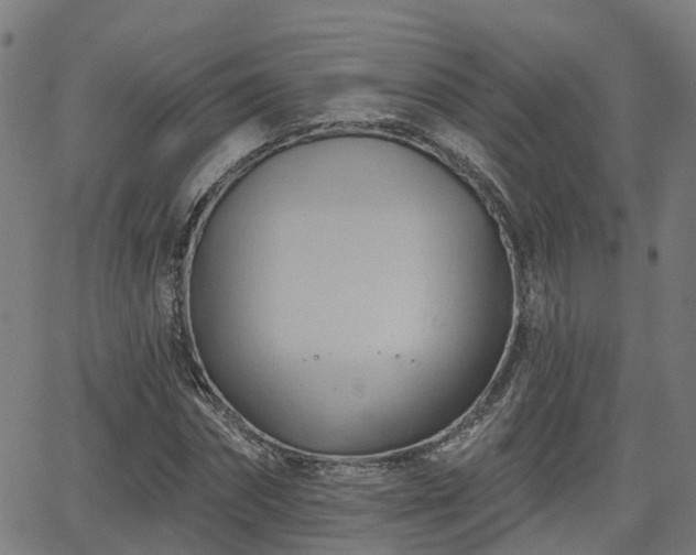 X0000062910874200601181217