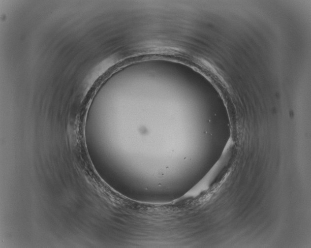 X0000062910875200601181217