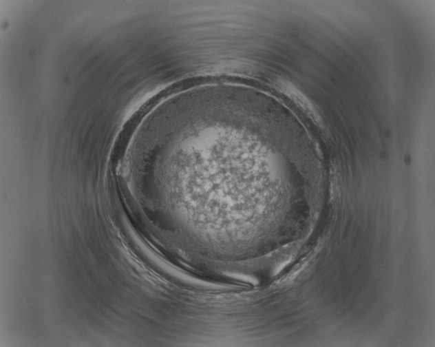 X0000062910876200601181217