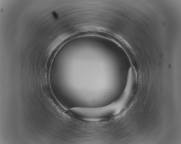 X0000062910877200601181217