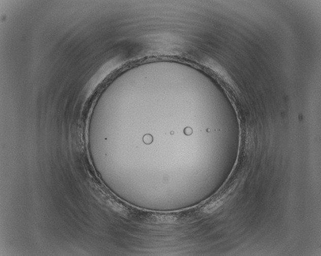 X0000062910878200601181217