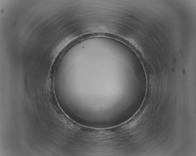 X0000062910879200601181217