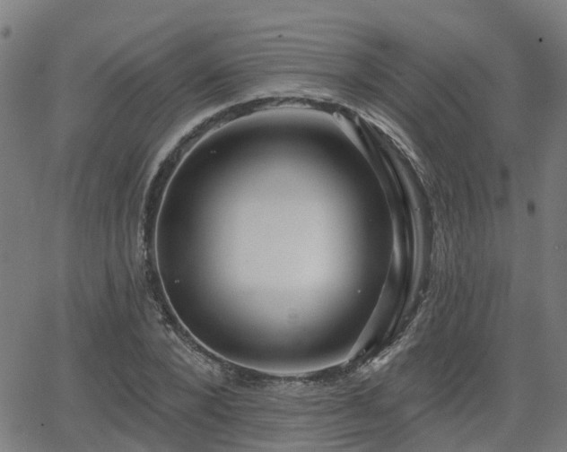 X0000062910880200601181216