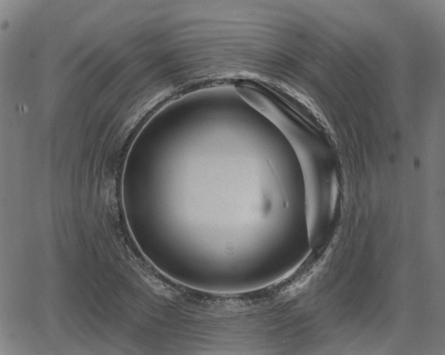 X0000062910881200601181216