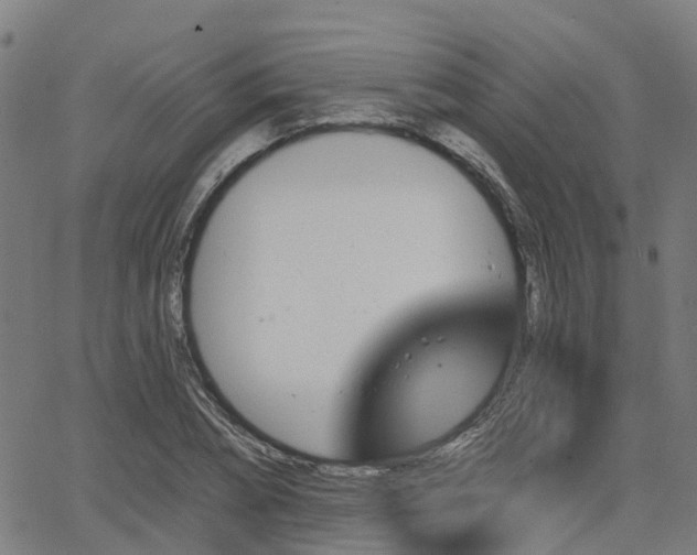 X0000062910882200601181216