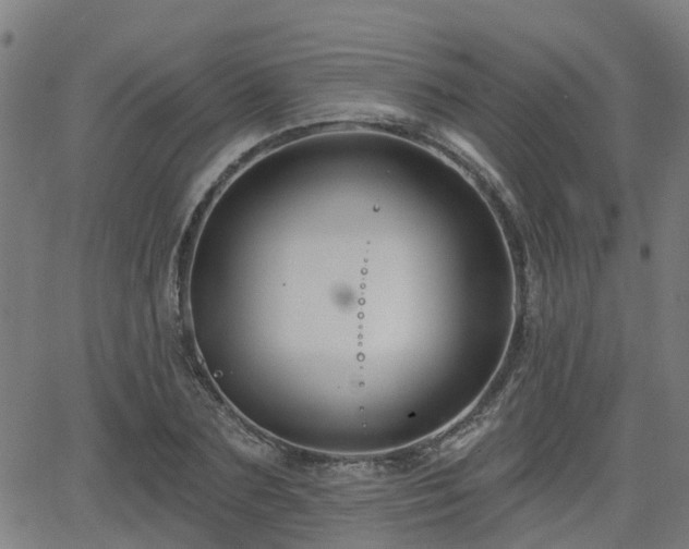 X0000062910883200601181216