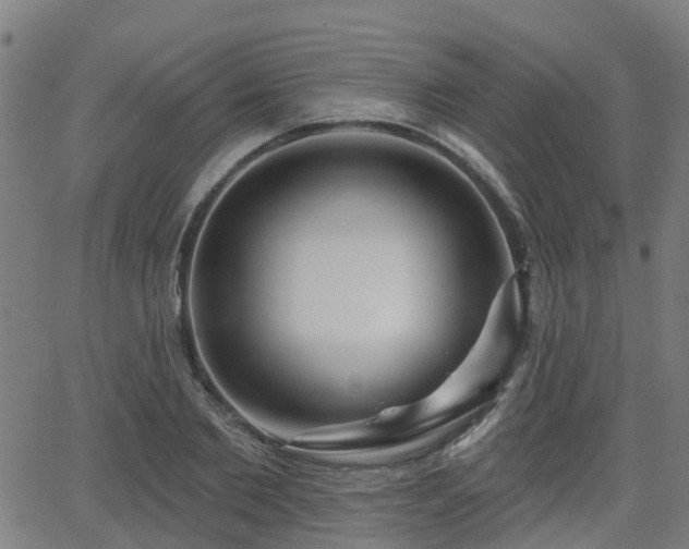 X0000062910885200601181216