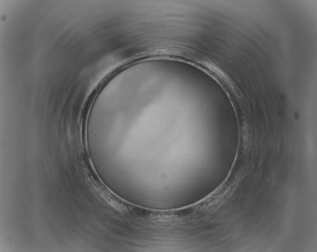 X0000062910886200601181216