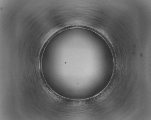 X0000062910887200601181216