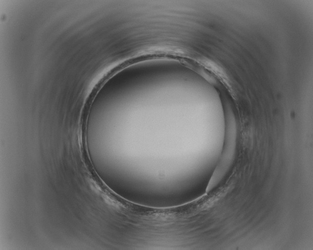 X0000062910888200601181216