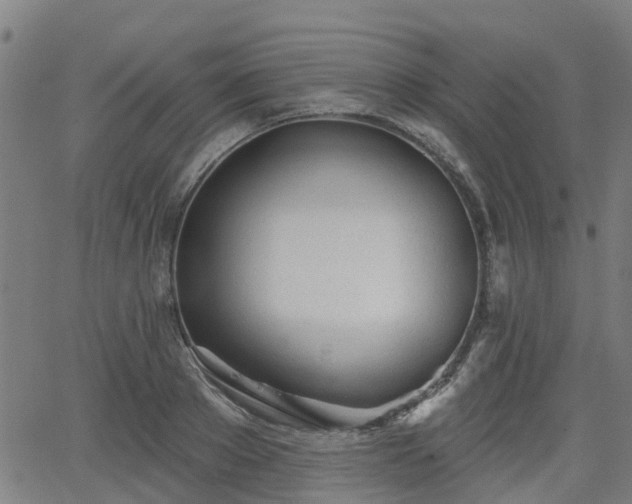 X0000062910889200601181216