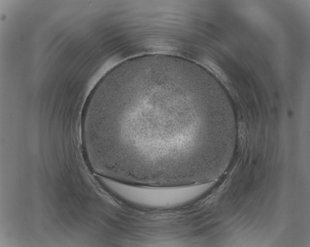 X0000062910891200601181216