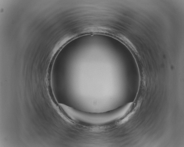 X0000062910893200601181216