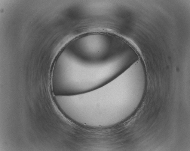 X0000062910895200601181216