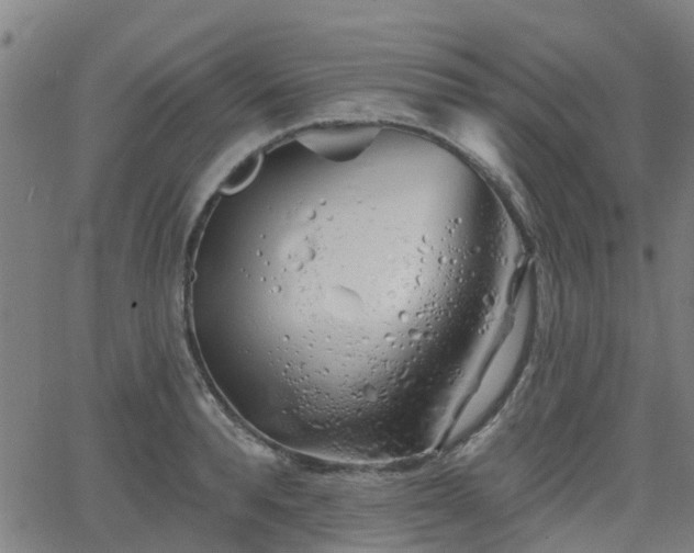 X0000062910896200601181216