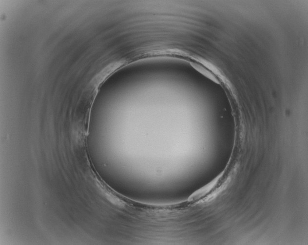 X0000062910897200601181216