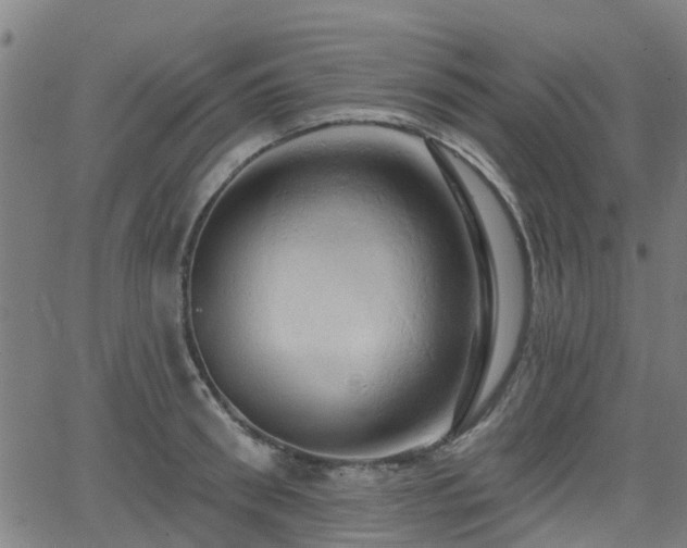 X0000062910898200601181216