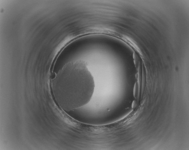 X0000062910899200601181216