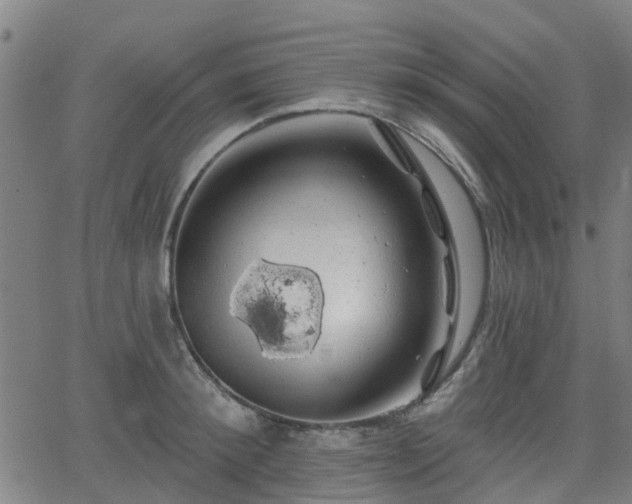 X0000062910900200601181216