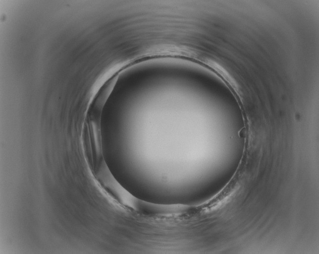 X0000062910901200601181216