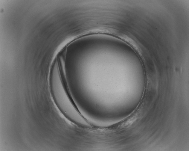 X0000062910902200601181216