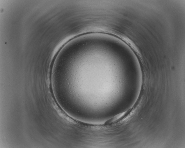 X0000062910904200601181216