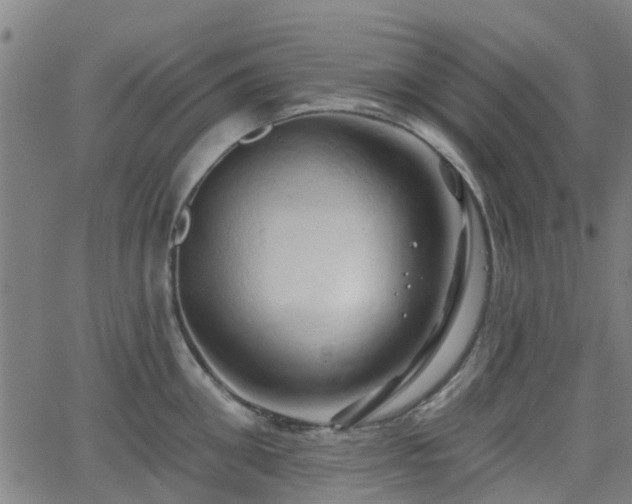 X0000062910906200601181216