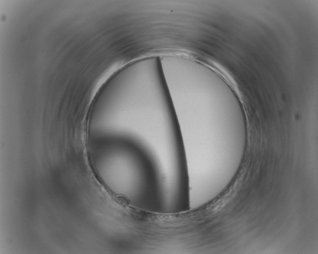 X0000062910907200601181216