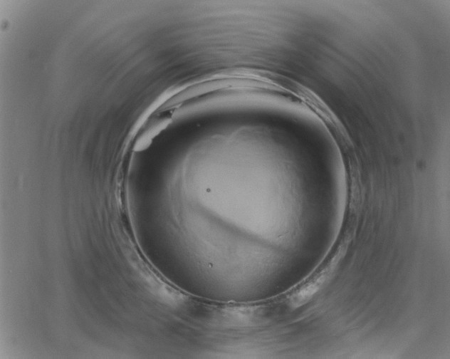 X0000062910908200601181216