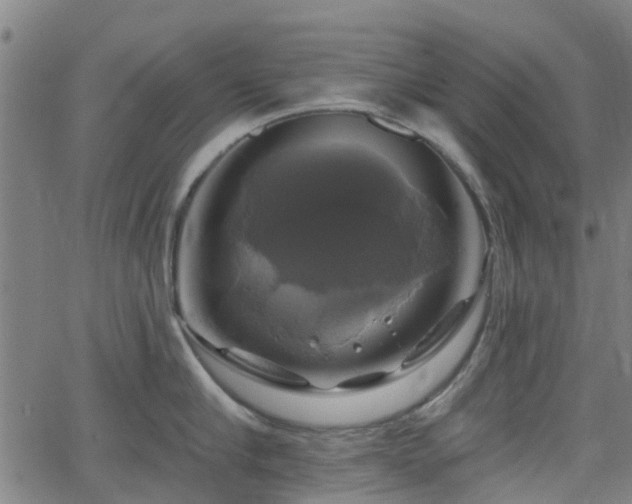 X0000062910910200601181216