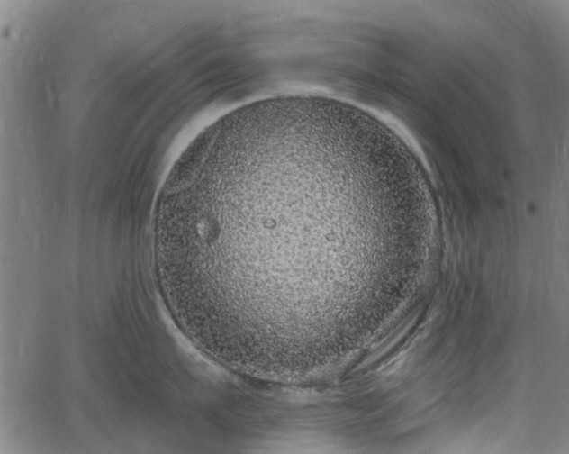 X0000062910911200601181216