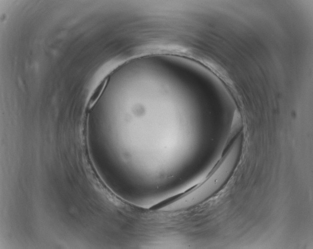 X0000062910912200601181216