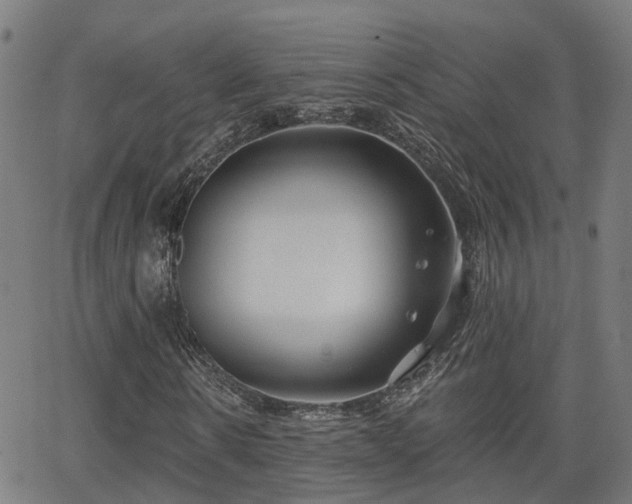 X0000062910914200601181215