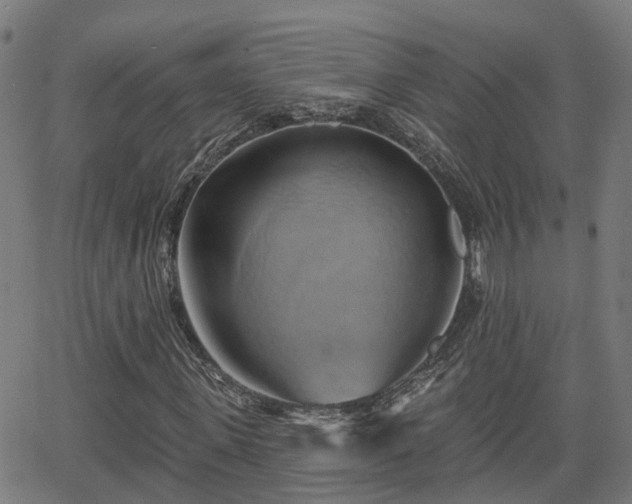 X0000062910915200601181215