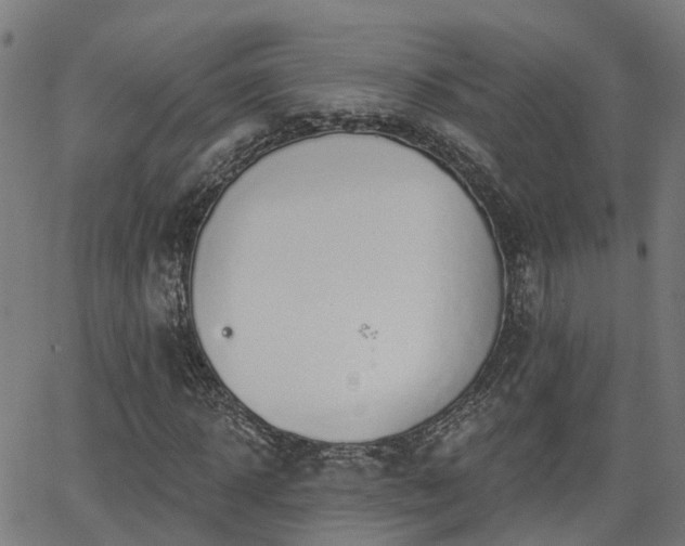 X0000062910918200601181215