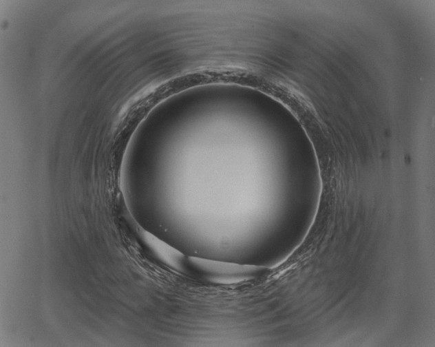 X0000062910920200601181215