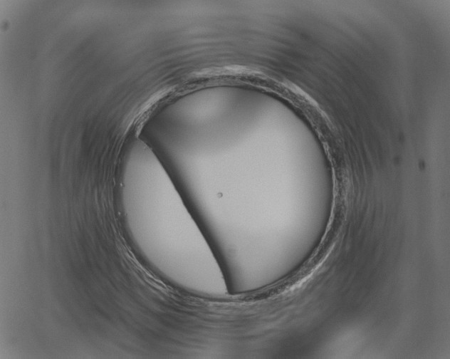 X0000062910921200601181215