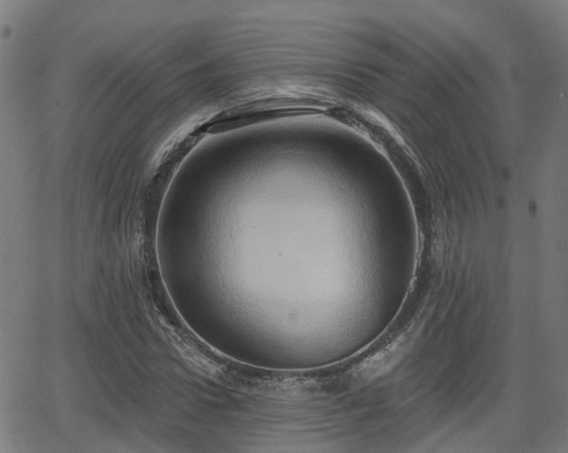 X0000062910922200601181215