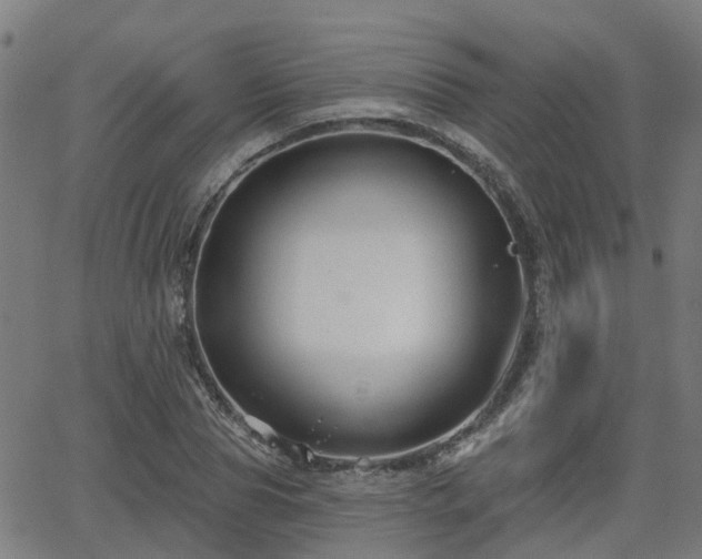 X0000062910929200601181215