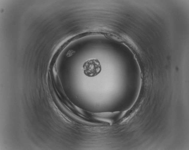 X0000062910932200601181215