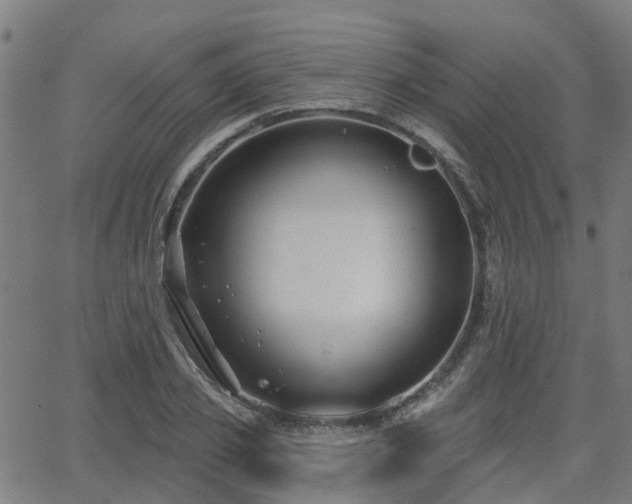 X0000062910933200601181216