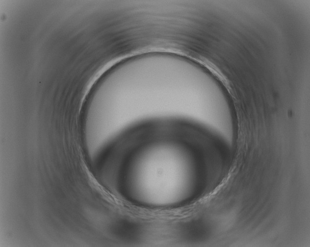 X0000062910934200601181216