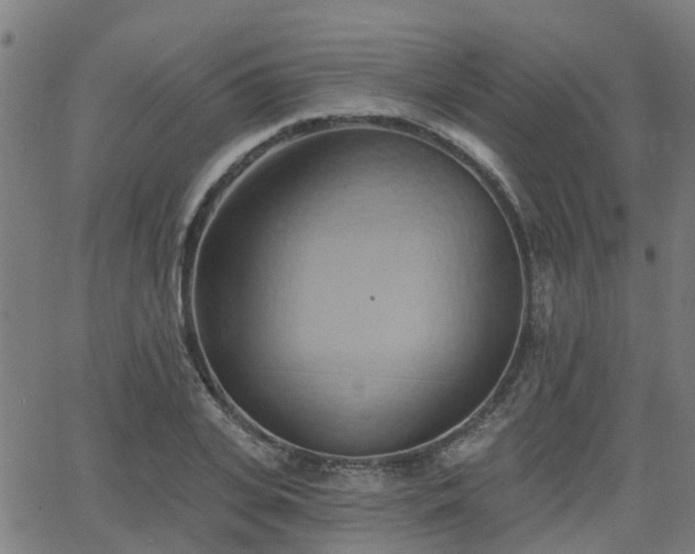 X0000062910935200601181216