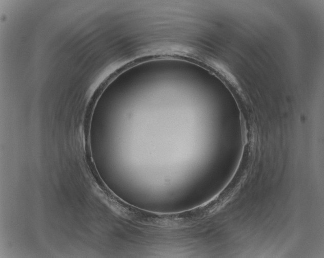 X0000062910936200601181216