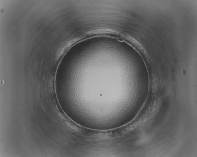 X0000062910937200601181216