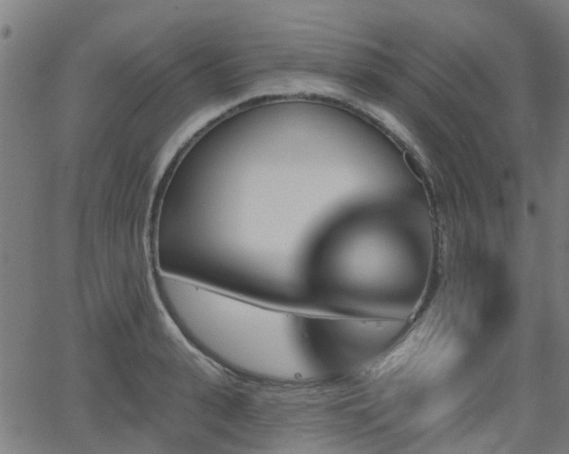 X0000062910943200601181216