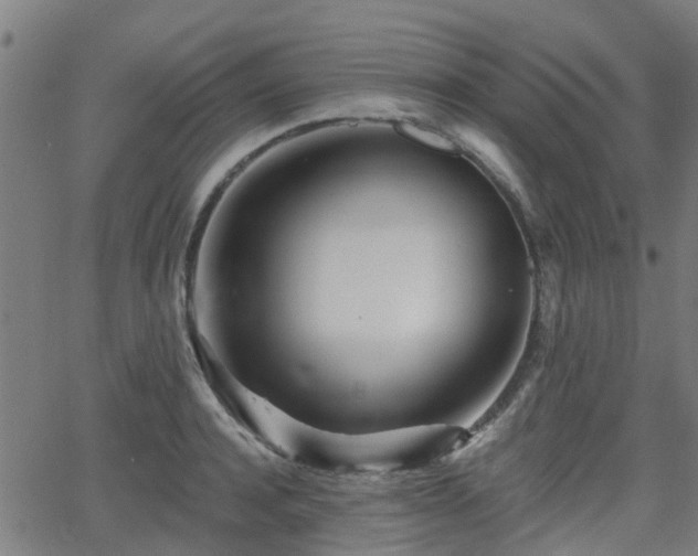 X0000062910944200601181216