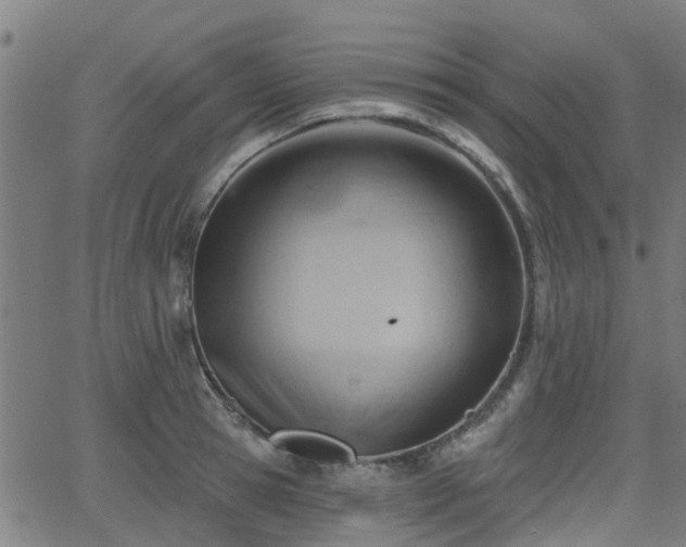 X0000062910945200601181216